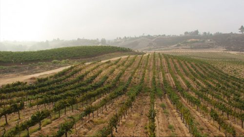 Anderson Valley AVA