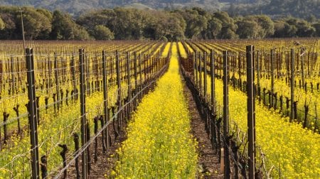 Fathers and Daughters Cellars