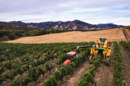 Atlas Vineyard Management