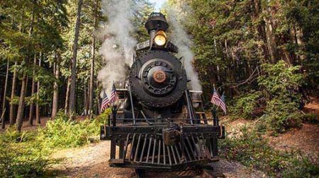 Skunk Train