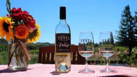 Testa Vineyards