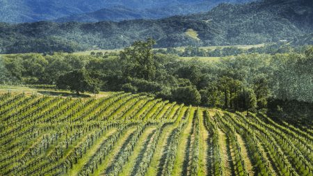 Fetzer Vineyards