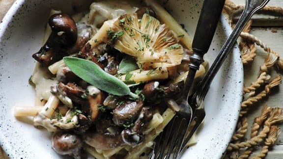 Shrooms