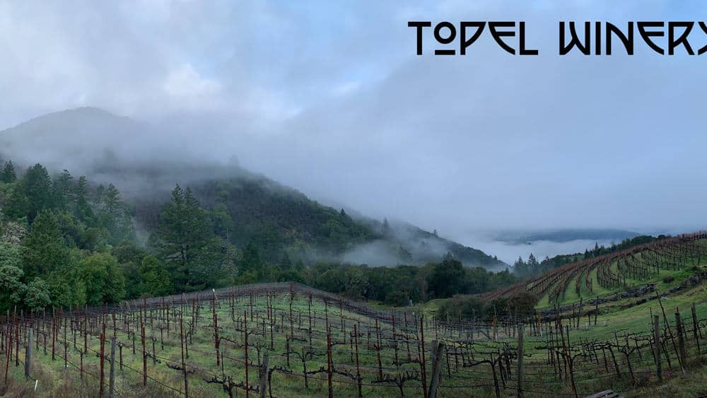 Topel Winery