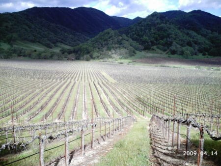 BARTOLOMEI BROTHERS VINEYARD