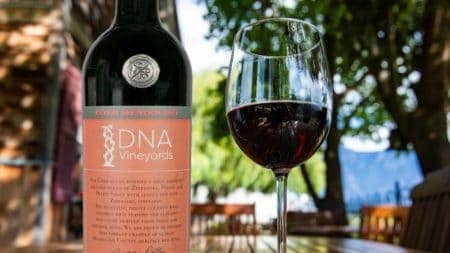 DNA Vineyards