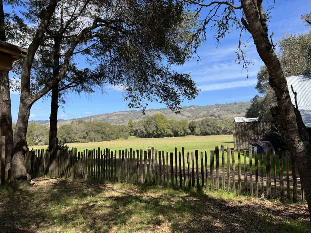 The grounds at Foursight Winery