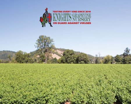 Knights Grapevine Nursery