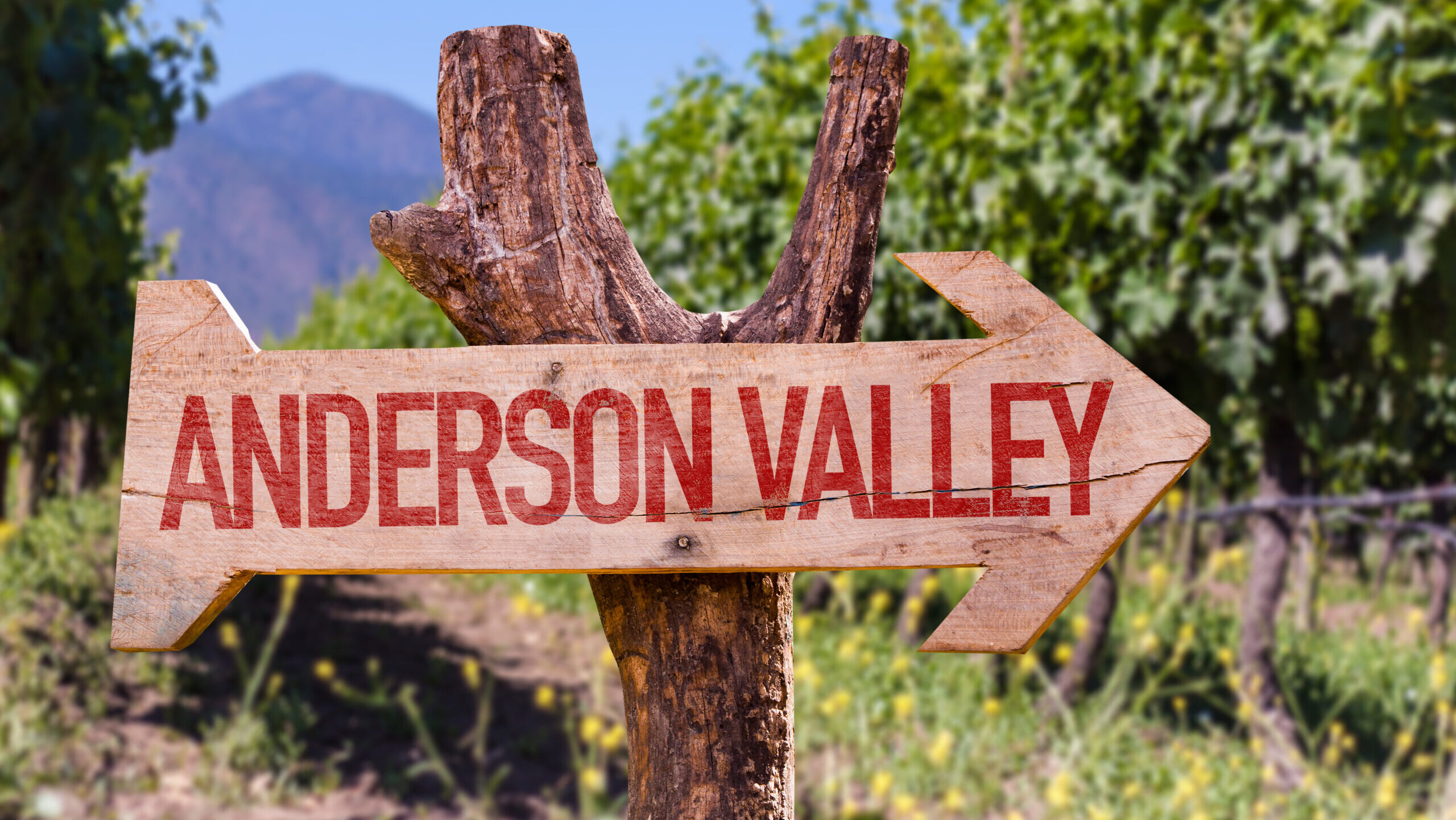 Anderson Valley Wooden Sign With Winery Background