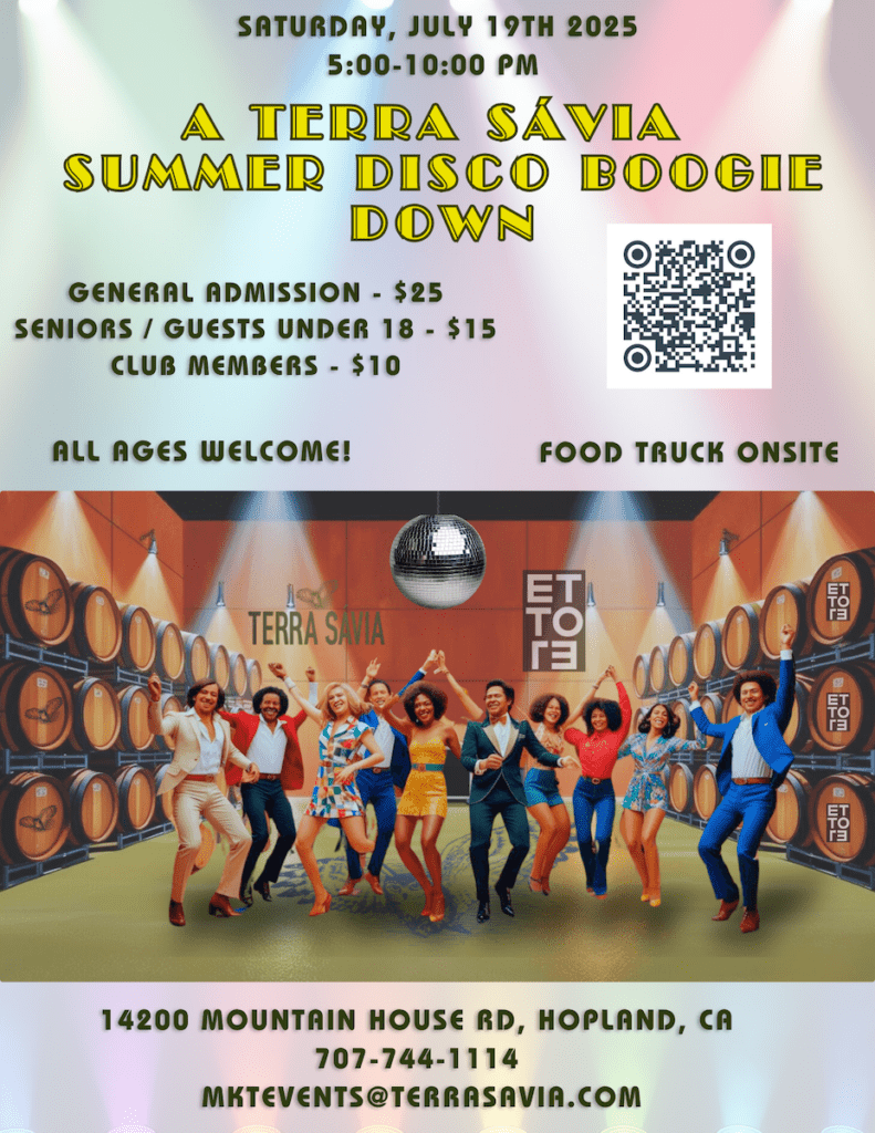 2025+disco+party+poster+final