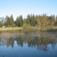 Thumbnail for the listing's main image