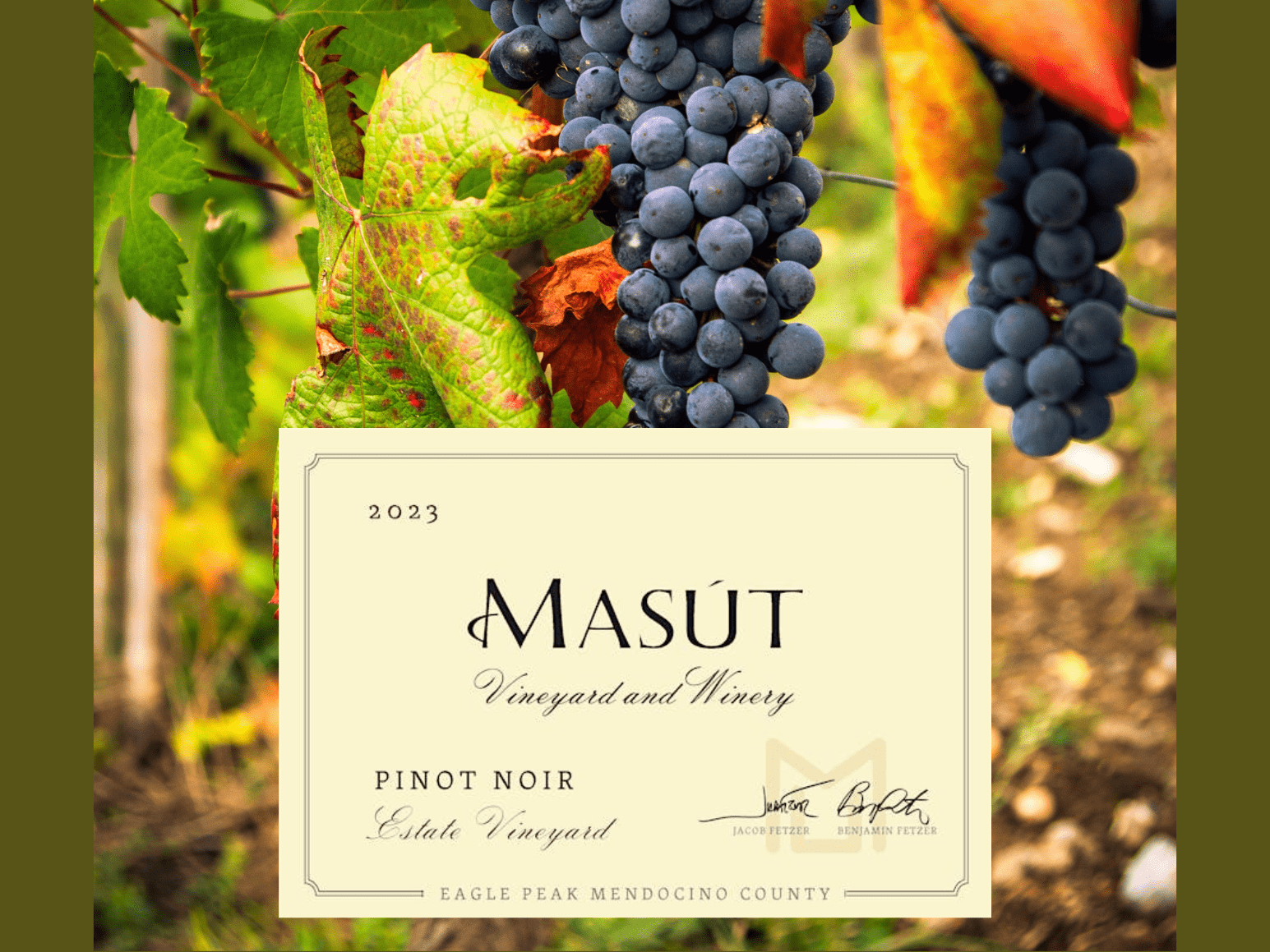 Untitled (us letter)